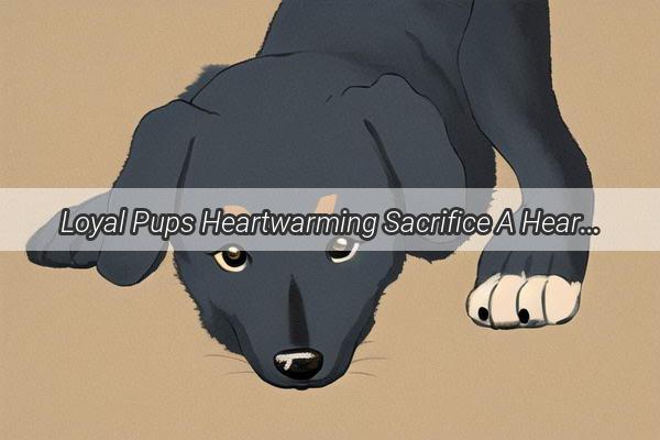 Loyal Pups Heartwarming Sacrifice A Heartbreaking Tale of Canine Devotion and Human Bonding